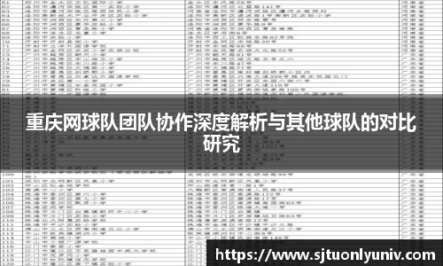 重庆网球队团队协作深度解析与其他球队的对比研究